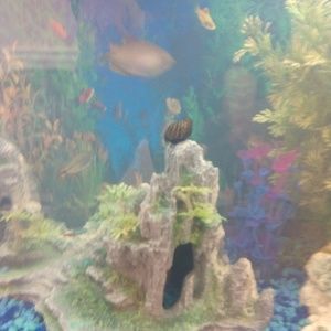 Meet your Posher, Steve